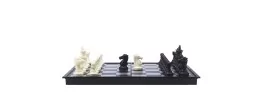 Jeux de voyage 2 en 1 magnétique Backgammon / Echecs 24 x 24 cm